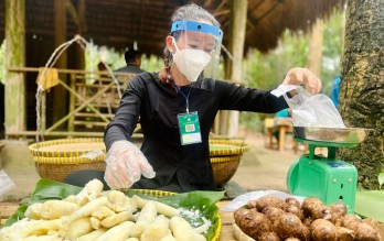 Nghỉ lễ 02/9, về Củ Chi ăn khoai mì, rau móp,... trong ngày hội ẩm thực