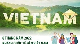 8 tháng năm 2022, khách quốc tế đến Việt Nam tăng 13,7 lần