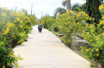 Long Hựu Tây nỗ lực vượt khó 'về đích' nông thôn mới