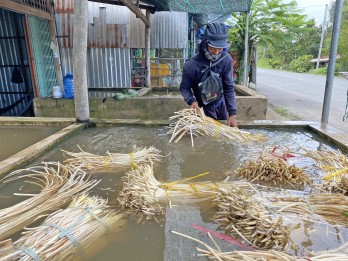 Nâng tầm giá trị cho sen