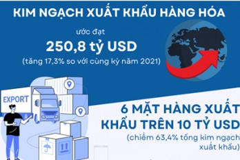 Kim ngạch xuất khẩu hàng hóa ước đạt 250,8 tỷ USD