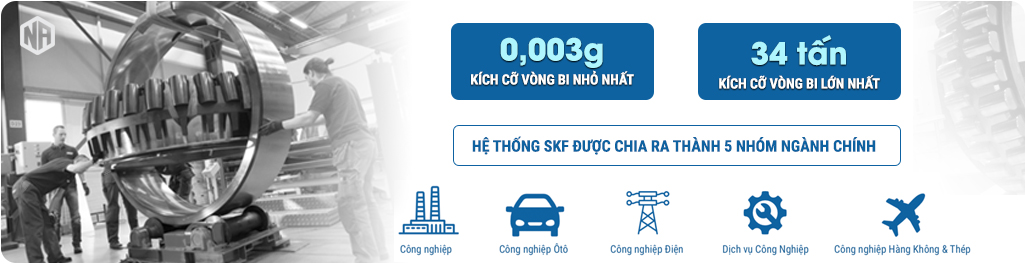 SKF Ngọc Anh