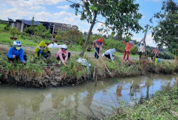 Phụ nữ Tân Trụ góp sức làm đẹp làng quê