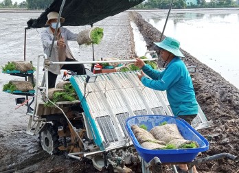 Thạnh Hóa ứng dụng công nghệ cao gắn với tái cơ cấu ngành Nông nghiệp