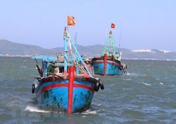 Binh Thuan continues efforts to fight IUU fishing