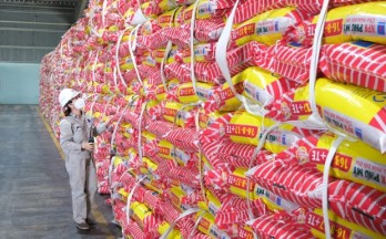 Petrovietnam’s fertiliser corporation sees impressive profit