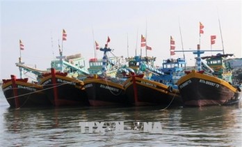 Quang Tri takes concerted measures to prevent IUU fishing