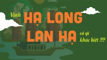 Vịnh Hạ Long và vịnh Lan Hạ có gì khác biệt?