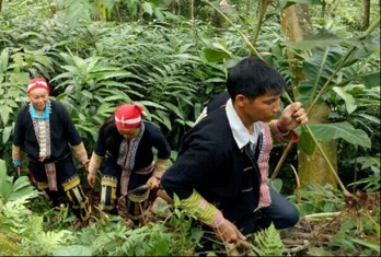 Lao Cai women add economic values to traditional products