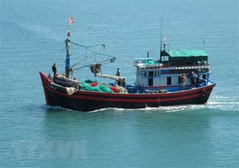 Coastal localities see better results in fighting IUU