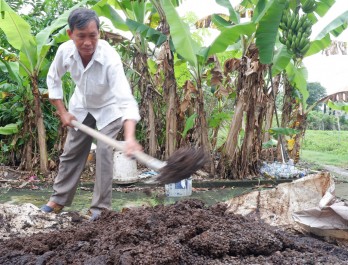 Sản xuất phân hữu cơ vi sinh tại nhà