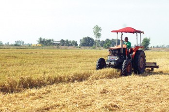 Ứng dụng công nghệ cao trong sản xuất góp phần xây dựng nông thôn mới