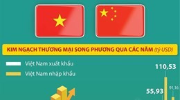 Kim ngạch thương mại song phương Việt Nam-Trung Quốc