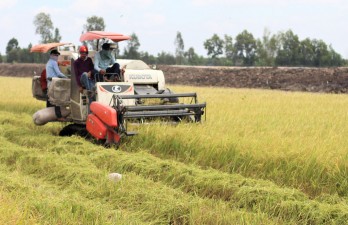 Ngành Nông nghiệp tỉnh Long An phấn đấu đạt tốc độ tăng trưởng năm 2022 trên 1%