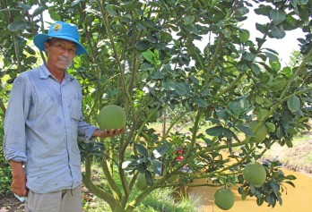 Tân Hiệp: Chú trọng phát triển kinh tế và thông tin đối ngoại