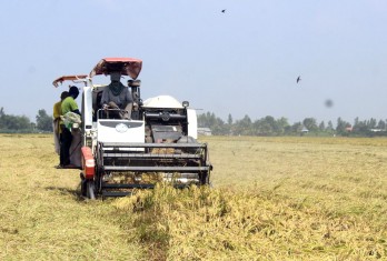 Phát triển nông nghiệp ứng dụng công nghệ cao gắn với tái cơ cấu ngành Nông nghiệp