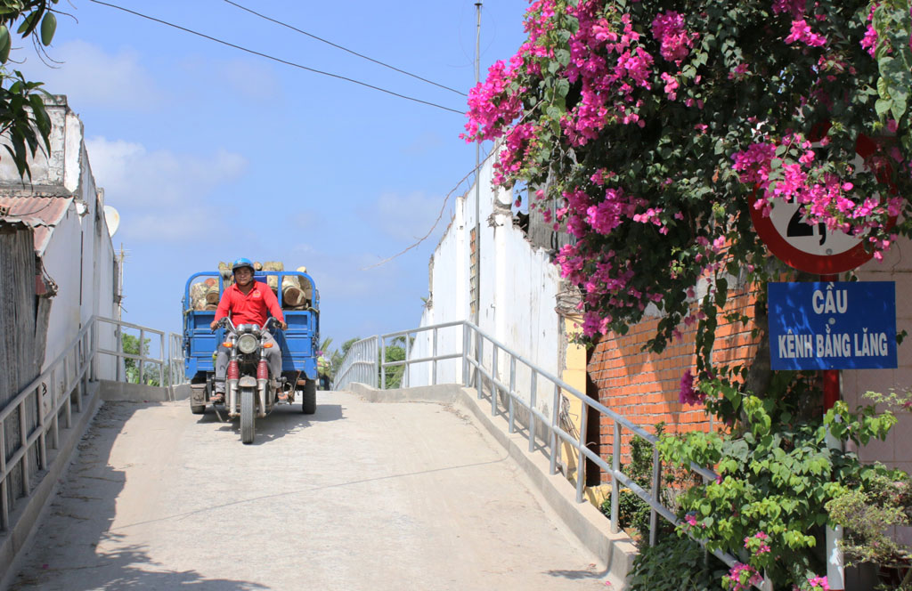 Góp sức làm đẹp làng quê