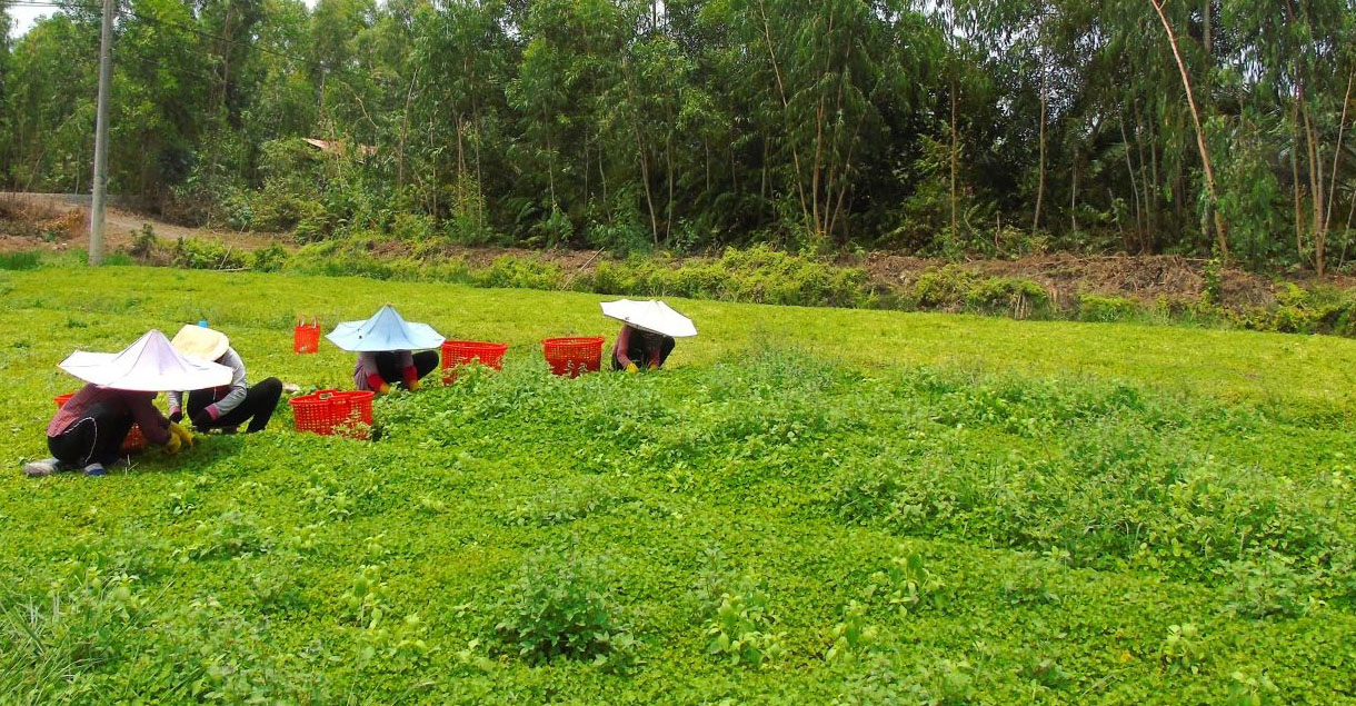 Lan tỏa các phong trào thi đua