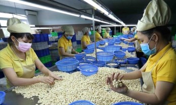 Vietnam records high export revenue from Cambodia