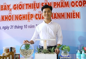 Xanh hóa văn phòng hiện đại