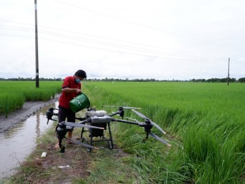 Đẩy nhanh tiến độ gieo sạ lúa Đông Xuân 2022-2023