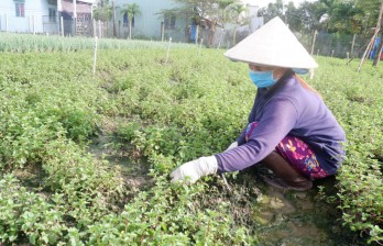 Nhiều cách làm hay trong giải quyết việc làm, giảm nghèo