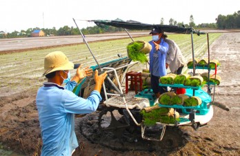 Để vụ lúa Đông Xuân 2022-2023 thắng lợi