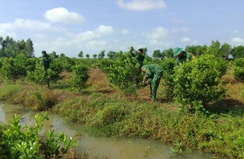 Đồn biên phòng Thạnh Trị xây dựng cảnh quan đơn vị xanh, sạch, đẹp