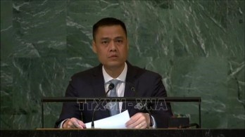 Vietnam calls for support to Palestine in gaining independence