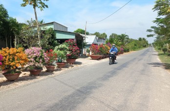 Toàn tỉnh có 116/161 xã đạt chuẩn nông thôn mới