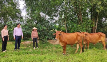 Trao 'cần câu' giúp giảm nghèo bền vững