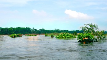 Xây dựng lực lượng vũ trang tỉnh vững mạnh toàn diện 'mẫu mực, tiêu biểu'