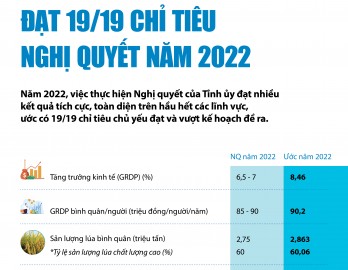 Long An đạt 19/19 chỉ tiêu Nghị quyết năm 2022