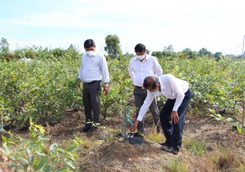 Hiệu quả Chương trình đột phá