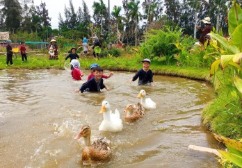 Khởi sắc sau Tuần Văn hóa - Du lịch