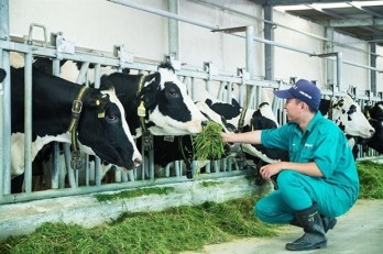 Livestock industry hopes difficulties will reduce in 2023