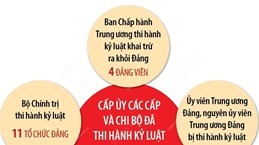 Công tác kiểm tra, giám sát, kỷ luật của Đảng: Không dừng, không nghỉ