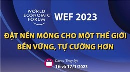 WEF 2023 - đặt nền móng cho một thế giới bền vững, tự cường hơn