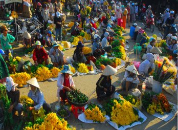 Bâng khuâng những ngày cuối năm...