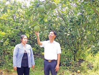 'Quả ngọt' từ chuyển đổi cây trồng