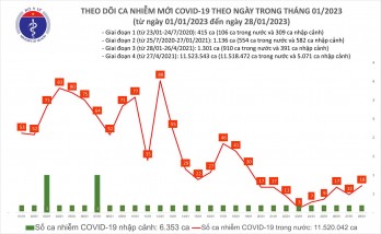 Mùng 7 Tết Quý Mão: Số ca mắc COVID-19 mới cao nhất trong tuần