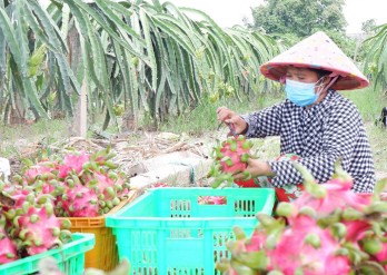 Agriculture sector strives to implement tasks right from the beginning of the year