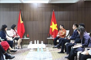 Vietnam to help Timor Leste soon become official member of ASEAN: FM