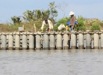 Efforts exerted to increase climate change adaptability of Mekong Delta urban systems