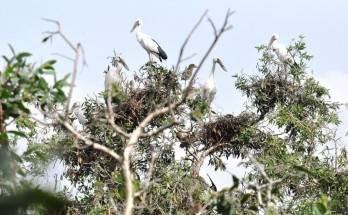 Ramsar Láng Sen - Khu bảo tồn sinh thái thế giới