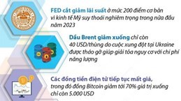 Những kịch bản "công phá" các thị trường toàn cầu năm 2023