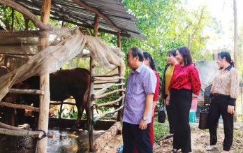 Khảo sát, đánh giá công tác triển khai, thực hiện mô hình giảm nghèo bền vững tại Thủ Thừa