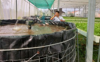 Chàng kiến trúc sư thành công với mô hình Aquaponics