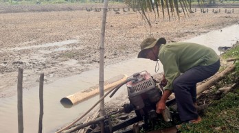 Nước mặn về chậm, người nuôi tôm Kiên Giang trễ lịch thời vụ