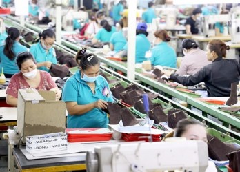 EU Green Deal poses challenges to Vietnamese businesses